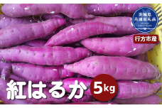 さつまいも「紅はるか」5kg 茨城県共通返礼品 行方市産