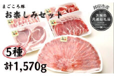 まごころ豚 1570g お楽しみセット ブランド豚 銘柄豚 茨城県 鉾田市産 5種類 茨城県産 国産 最高級 セット モモ 肩ロース バラ肉 ロース厚切り肉 コマ肉 総重量 しゃぶしゃぶ 生姜焼き 焼肉 モモ肉 ロース厚切り
