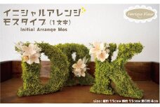 イニシャルアレンジ モス 1文字 花 ギフト プレゼント ドライフラワー インテリア イニシャル アルファベット お好きなアルファベット１文字にアレンジを施してお届け Feerique Fleur フェリーク フルール 高約11cm×横約11cm×奥行き約4cm