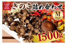 きのこの詰め合わせ Mサイズ 1.5Kg 茨城県共通返礼品 城里町産 舞茸 椎茸 あわび茸 たもぎ茸 はなびら茸 完全室内栽培 栽培期間中農薬不使用 安心 安全 栄養豊富 こだわりのキノコ詰め合わせ 直送 新鮮 旬 おすすめ セット 贈り物
