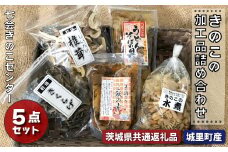きのこの加工品詰め合わせ 5点セット 茨城県共通返礼品 城里町産 きのこの水煮 混ぜご飯の素 うどんそばの具 乾燥キクラゲ 乾燥椎茸 きのこミックス 水煮 国産 きのこ 乾燥 しいたけ ハナビラタケ きくらげ バラエティ セット 乾燥きのこ