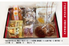 つぼ焼おおがね 7種の詰合わせ 黄味餡 人参芋餡 紫芋餡 老舗 和菓子 シナモン おやつ 和スイーツ なかまろちゃんどら焼 なかまろちゃん焼ドーナツ 栗どら 額田城 特産品ブランド認証品 創業100年 老舗和菓子店 つぼ焼おおがね お土産