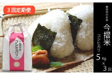 【３ヶ月定期便】那珂市のお米（今摺米）コシヒカリ５kg（令和6年度米）