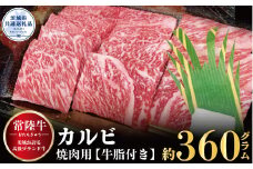 常陸牛 カルビ 焼肉用 360g 茨城県共通返礼品 茨城県産銘柄黒毛和牛 500g 牛肉 肉 牛 焼肉 お肉 BBQ バーベキュー 食材 和牛 黒毛和牛 最高級ブランド お中元 上品な脂の甘さ 牛丼 肉ギフト 霜降り ブランド牛 国産牛 冷凍 茨城