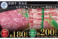 焼肉セット 常陸牛180g・ローズポーク200g 銘柄牛 きめ細い 柔らかい 豊かな風味 黒毛和牛 A4ランク A5ランク ブランド牛 ブランド豚 銘柄豚 茨城 国産 黒毛和牛 霜降り 牛肉 冷凍 誕生日 お中元 贈り物 お祝い 焼肉 茨城県共通返礼品