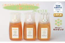 数量限定 山桜はちみつと春の田舎はちみつの3種ギフトセット B3山桜 茨城県共通返礼品 五霞町生ハチミツ 非加熱 茨城県産