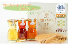 季節で移ろう田舎はちみつ3種ギフトセット 結蜜 Musubi-R3 茨城県共通返礼品 五霞町生ハチミツ 非加熱 茨城県産