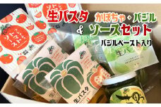生パスタ バジル・かぼちゃ &ソース&バジルぺーストセット