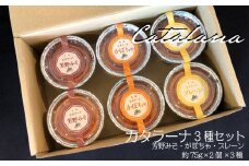 カタラーナ 3種セット 75g×6個 イタリア定番スイーツ カタラーナ イタリアン かぼちゃ 芳野みそ プレーン 芳野味噌 カタ−ルニャ地方 添加物不使用 手作り クレームブリュレ クリームブリュレ デザート プリン お菓子 スイーツギフト ブリュレ