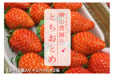 いちご とちおとめ 2パック×2箱