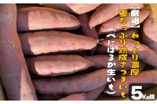 厳選 ねっとり濃厚 蜜たっぷり熟成さつまいも べにはるか 生芋 約5Kg 茨城県 那珂市 さつまいも なまいも 厳選 濃厚 蜜たっぷり 芋 紅はるか 熟成 さつま芋 薩摩芋 サツマイモ 箱 美味しい 箱買い 大量 詰め合わせ 国産 非常食 土付き ギフト