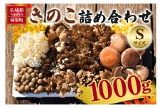 きのこの詰め合わせ Sサイズ 1Kg 茨城県共通返礼品 城里町産 舞茸 椎茸 あわび茸 たもぎ茸 はなびら茸 完全室内栽培 栽培期間中農薬不使用 安心 安全 栄養豊富 こだわりのキノコ詰め合わせ 直送 新鮮 旬 おすすめ セット 贈り物