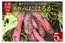 【京阪百貨店厳選】茨城県産べにはるか 5kg （新物）[A品L～2Lサイズ] 芋 さつま芋 サツマイモ さつまいも B18-001