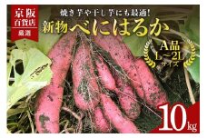 【京阪百貨店厳選】茨城県産べにはるか 10kg（新物）[A品L～2Lサイズ] 芋 さつま芋 サツマイモ さつまいも B18-002