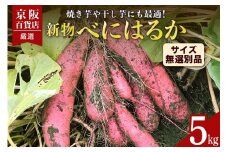 【京阪百貨店厳選】茨城県産べにはるか 5kg（新物）[サイズ無選別品] 芋 さつま芋 サツマイモ さつまいも B18-003