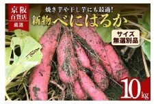 【京阪百貨店厳選】茨城県産べにはるか 10kg （新物）[サイズ無選別品] 芋 さつま芋 サツマイモ さつまいも B18-004