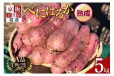 【京阪百貨店厳選】茨城県産べにはるか 5kg （熟成）[A品L～2Lサイズ] 芋 さつま芋 サツマイモ さつまいも B18-005