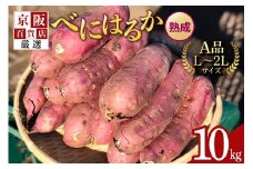 【京阪百貨店厳選】茨城県産べにはるか 10kg（熟成）[A品L～2Lサイズ] 芋 さつま芋 サツマイモ さつまいも B18-006