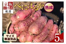 【京阪百貨店厳選】茨城県産べにはるか 5kg（熟成）[サイズ無選別品] 芋 さつま芋 サツマイモ さつまいも B18-007