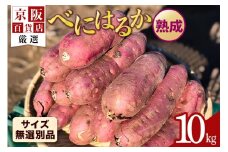 【京阪百貨店厳選】茨城県産べにはるか 10kg（熟成）[サイズ無選別品] 芋 さつま芋 サツマイモ さつまいも B18-008