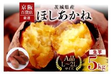 【京阪百貨店厳選】茨城県産ほしあかね 5kg [A品L～2Lサイズ] 芋 さつま芋 サツマイモ さつまいも B18-009