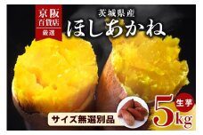 【京阪百貨店厳選】茨城県産ほしあかね 5kg [サイズ無選別品] 芋 さつま芋 サツマイモ さつまいも B18-011