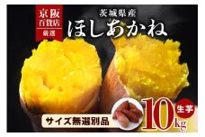 【京阪百貨店厳選】茨城県産ほしあかね 10kg [サイズ無選別品] 芋 さつま芋 サツマイモ さつまいも B18-012