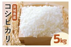 令和7年度産 みねしまふぁーむ 常陸牛農家が育てるコシヒカリ 5kg コシヒカリ 低農薬 低化学肥料 米 発送直前に精米 精米 コシヒカリ米 茨城県産 白米 お米 コメ おこめ こめ こしひかり 有機 ブランド 健康 ギフト 贈り物