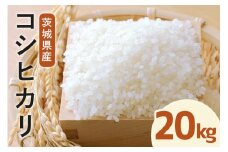 令和7年度産 常陸牛農家が育てるコシヒカリ 20kg 米 お米 白米 こめ 精米 取り寄せ 特産 ごはん ご飯 コメ お取り寄せ ギフト 贈り物 お弁当 弁当 おにぎり ふっくら ツヤツヤ 甘い 農家直送 産地直送 国産 茨城県産