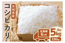 定期便 常陸牛農家が育てるコシヒカリ 5kg×6回 令和7年度産 米 お米 白米 こめ 精米 取り寄せ 特産 ごはん ご飯 コメ お取り寄せ ギフト 贈り物 お弁当 弁当 おにぎり ふっくら ツヤツヤ 甘い 農家直送 産地直送 国産 茨城県産