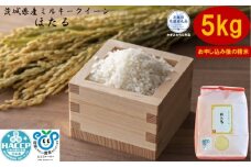 【令和7年度産】＼農家直送！出荷日精米／茨城県産 ミルキークイーン ほたる 5kg 茨城県共通返礼品 かすみがうら市産 米 お米 白米 こめ 精米 取り寄せ 特産 ごはん ご飯 コメ お取り寄せ ギフト 贈り物 お弁当 弁当 おにぎり ふっくら ツヤツヤ 甘い 農家直送 産地直送 国産 茨城県産