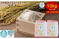 【令和7年度産】＼農家直送！出荷日精米／茨城県産 ミルキークイーン ほたる 10kg 5kg×2袋 茨城県共通返礼品 かすみがうら市産 米 お米 白米 こめ 精米 取り寄せ 特産 ごはん ご飯 コメ お取り寄せ ギフト 贈り物 お弁当 弁当 おにぎり ふっくら ツヤツヤ 甘い 農家直送 産地直送 国産 茨城県産