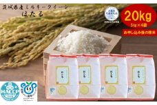 【令和7年度産】＼農家直送！出荷日精米／茨城県産 ミルキークイーン ほたる 20kg 5kg×4袋 茨城県共通返礼品 かすみがうら市産 米 お米 白米 こめ 精米 取り寄せ 特産 ごはん ご飯 コメ お取り寄せ ギフト 贈り物 お弁当 弁当 おにぎり ふっくら ツヤツヤ 甘い 農家直送 産地直送 国産 茨城県産