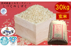 【令和7年度産】＼農家直送！低温保存玄米／茨城県産 ミルキークイーン しづくのしずく 30kg 茨城県共通返礼品 かすみがうら市産 米 お米 玄米 こめ 取り寄せ 特産 ごはん ご飯 コメ お取り寄せ ギフト 贈り物 お弁当 弁当 おにぎり ふっくら ツヤツヤ 甘い 農家直送 産地直送 国産 茨城県産