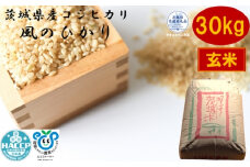 【令和7年度産】＼農家直送！低温保存玄米／茨城県産 コシヒカリ 風のひかり 30kg 茨城県共通返礼品 かすみがうら市産 米 お米 玄米 こめ 取り寄せ 特産 ごはん ご飯 コメ お取り寄せ ギフト 贈り物 お弁当 弁当 おにぎり ふっくら ツヤツヤ 甘い 農家直送 産地直送 国産 茨城県産
