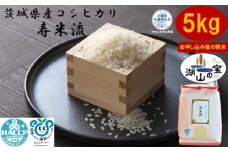 【令和7年度産】＼農家直送！出荷日精米／茨城県産 コシヒカリ 寿米流 すまいる 5kg 茨城県共通返礼品 かすみがうら市産 米 お米 白米 こめ 精米 取り寄せ 特産 ごはん ご飯 コメ お取り寄せ ギフト 贈り物 お弁当 弁当 おにぎり ふっくら ツヤツヤ 甘い 農家直送 産地直送 国産 茨城県産