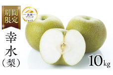 受付は本日まで!!【 JA 北つくば 】 筑西ブランド 認証品 幸水 10kg 2025年産 先行予約 梨 果物 フルーツ なし ナシ 幸水梨 くだもの デザート 茨城 [AE009ci]