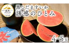 受付は本日まで!!【 JA北つくば 】 黒こだますいか 「 誘惑のひとみ 」 4〜5玉 先行予約 スイカ 果物 フルーツ 小玉スイカ 小玉 西瓜 くだもの デザート 茨城 [AE004ci]