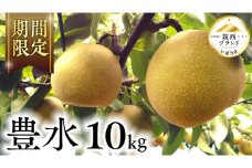 【 JA 北つくば 】 筑西ブランド 認証品 豊水 10kg 2025年産 先行予約 梨 果物 フルーツ なし ナシ 豊水梨 くだもの デザート 茨城 [AE011ci]