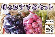 【 藤澤ブドウ園 】 旬 の おすすめ セット 約2.5kg 2025年産 先行予約 ぶどう 葡萄 巨峰 高級 シャインマスカット[AH001ci]