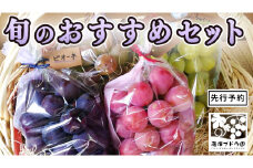 【 藤澤ブドウ園 】 旬 の おすすめ セット 約2.5kg 2025年産 先行予約 ぶどう 葡萄 巨峰 高級 シャインマスカット[AH001ci]