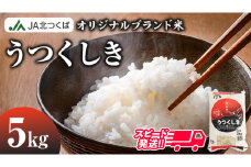スピード発送!!【 JA 北つくば オリジナル ブランド米 】うつくしき 5kg ( コシヒカリ ) 米 お米 コメ 白米 こしひかり 茨城県 精米 新生活 応援 スピード配送 [AE001ci]