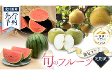 【 筑西ブランド 認証品 】 旬のフルーツ 定期便 ( 満足コース ) 2025年産 先行予約 JA 幸水 豊水 こだまスイカ 黒こだま ピノ・ガール 果物 フルーツ なし 和梨 小玉すいか 小玉 すいか スイカ [AE012ci]