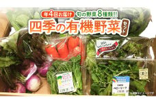 【 定期便 年4回お届け！】四季の 有機野菜 色とりどりセット  野菜 野菜セット 詰め合わせ 有機 無農薬 JAS認定 無化学肥料 おまかせ 野菜スティック レインボーフューチャー [AL001ci]