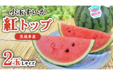 【 先行予約 】 希少品種 「 紅トップ 」 茨城県産 小玉 すいか  2玉入り Lサイズ スイカ [AG003ci]
