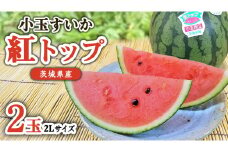 【 先行予約 】 希少品種 「 紅トップ 」 茨城県産 小玉 すいか  2玉入り 2Lサイズ スイカ [AG005ci]