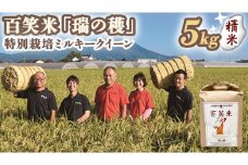 精米 百笑米 「 瑞の穫 」 特別栽培 ミルキークイーン 5kg R7年産 米 コメ 茨城県 単一米 [AC001ci]