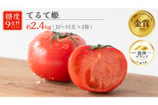 てるて姫 中箱 約1.2kg × 2箱 【12～15玉/1箱】 てるてひめ 糖度9度 以上 野菜 フルーツトマト フルーツ トマト とまと [AF038ci]