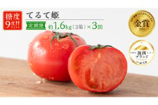 【 先行予約 】【 3ヶ月 定期便 】 てるて姫 小箱 約800g × 2箱 【7〜13玉/1箱】 糖度9度 以上 野菜 フルーツトマト フルーツ トマト とまと [AF053ci]