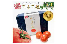 先行予約 【定期便】 1.5kg×3箱× 3回お届け！ スーパーフルーツトマト てるて姫中箱 【12〜15玉/1箱】糖度9度以上 新生活 応援 [AF051ci]